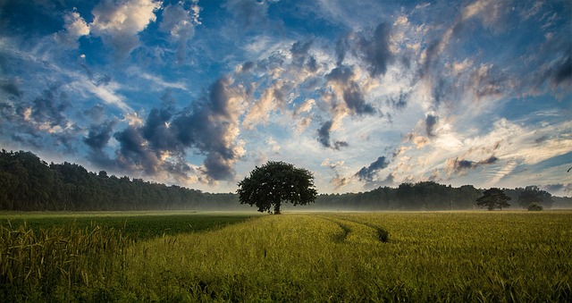 sky
