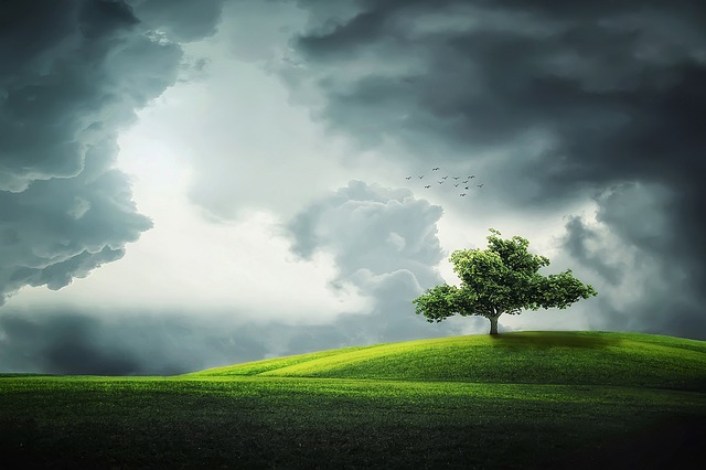 sky