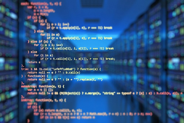 programming language