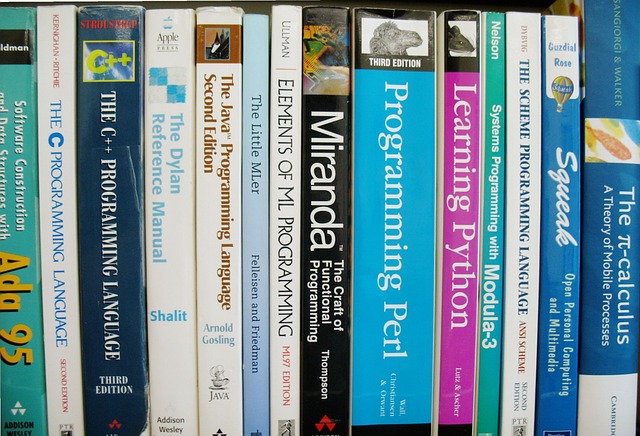 programming languages